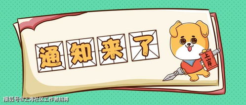 11名 松江车墩镇车墩派出所治安巡逻员拟录用名单公示